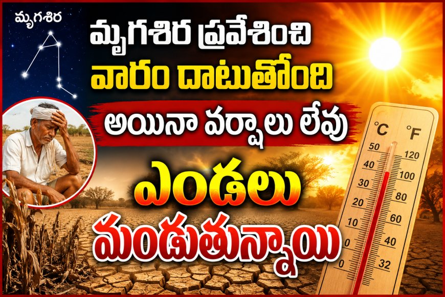 మృగశిర ప్రవేశించి వారం దాటుతోంది అయినా వర్షాలు లేవు. ఎండలు మండుతున్నాయి