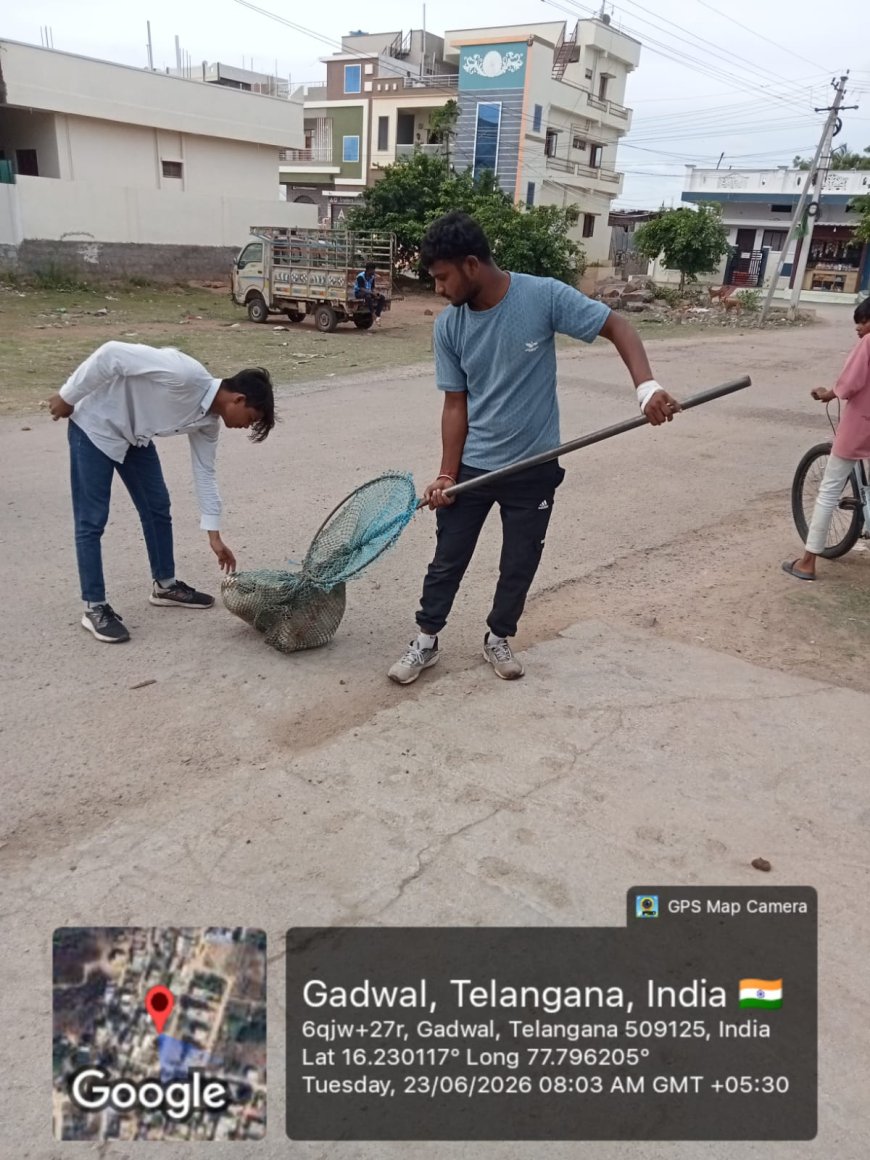 ముమ్మరంగా కొనసాగుతున్న వీధి కుక్కల తరలింపు