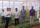 చామంతి పూల తోటను తనిఖీ చేసిన జిల్లా కలెక్టర్