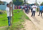 రామాలయ కాలనీలో విషసర్పాల బీభత్సం