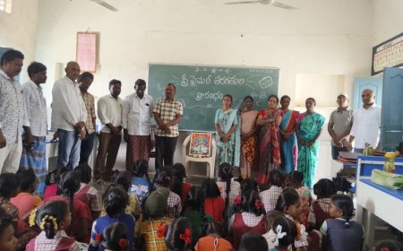 ఫ్రీ ప్రైమరీ తరగతులను ప్రారంభించిన సర్పంచ్.