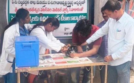 ఉచితంగా యాంటీ రేబిస్ టీకాలు