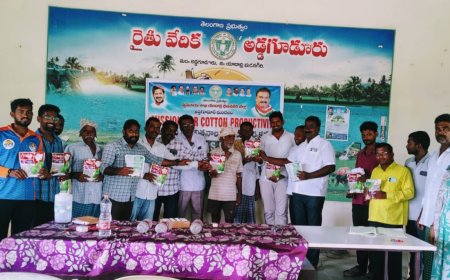 రైతులకు ఉచిత పత్తి విత్తనాలు పంపిణీ..ఏవో పాండురంగచారి