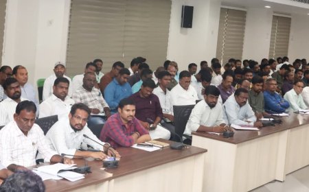 గ్రామపంచాయతీలో ఆర్థిక వనరులను పెంపొందించుకోవాలి
