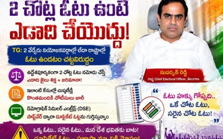 2 చోట్ల ఓటు ఉంటే ఎడాది చేయొద్దు: CEO