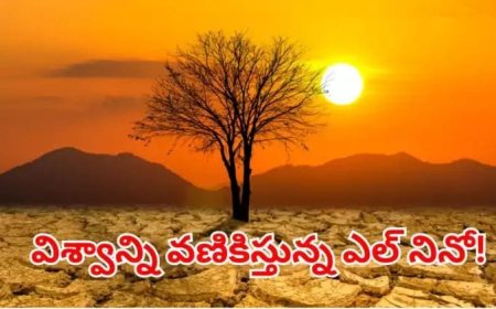 భారత్‌ను భయపెడుతున్న ఎల్ నినో.. చరిత్రలో ఎన్నడూ లేని కరువు రానుందా