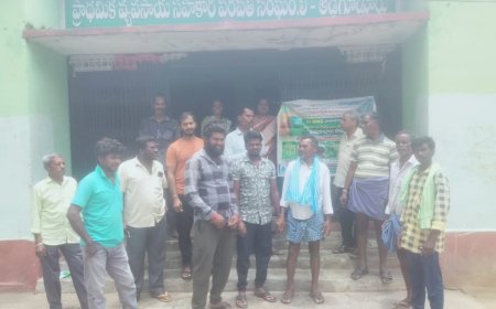 వరికి బదులు ఆరుతడి పంటలు మేలు..ఏవో పాండురంగచారి
