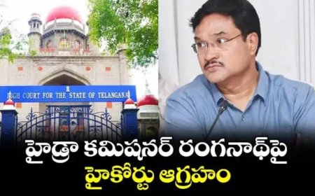 హైడ్రా కమిషనర్ రంగనాథ్‌పై హైకోర్టు ఆగ్రహం