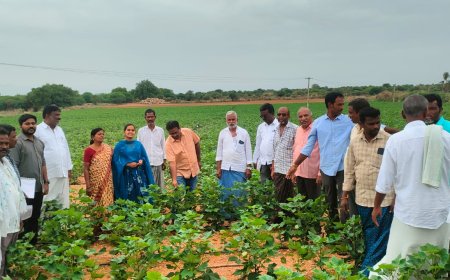 ఉన్నత అధికారుల క్షేత్ర సాయి సందర్శన