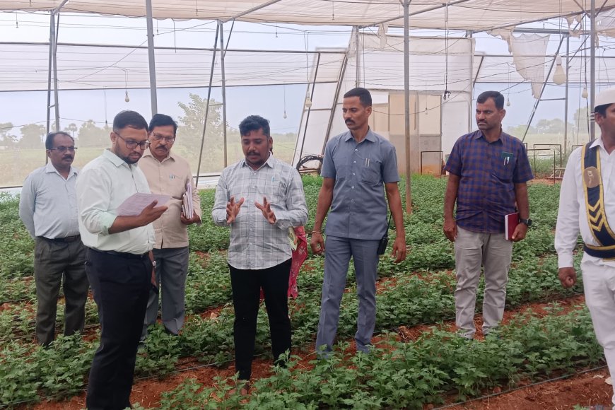 చామంతి పూల తోటను తనిఖీ చేసిన జిల్లా కలెక్టర్