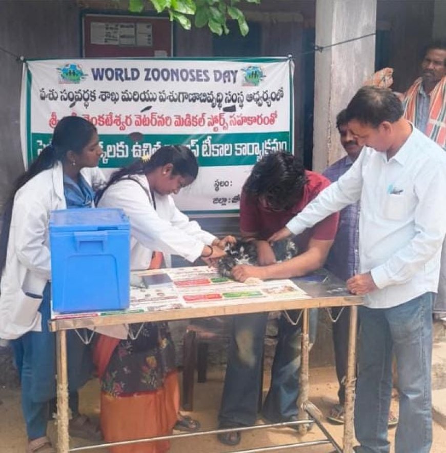 ఉచితంగా యాంటీ రేబిస్ టీకాలు