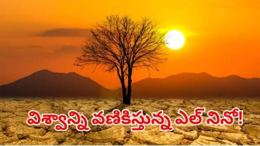 భారత్‌ను భయపెడుతున్న ఎల్ నినో.. చరిత్రలో ఎన్నడూ లేని కరువు రానుందా