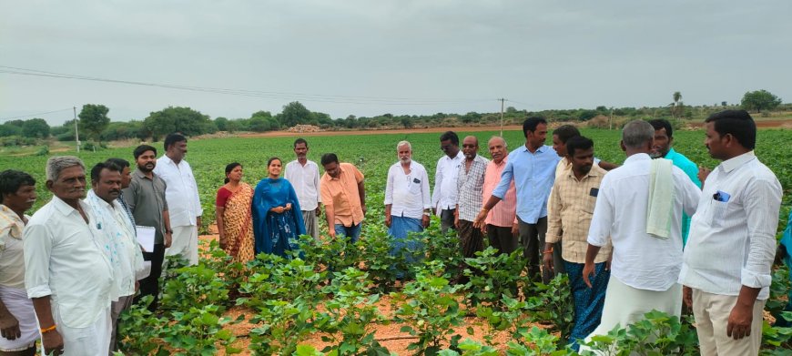 ఉన్నత అధికారుల క్షేత్ర సాయి సందర్శన