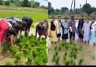 పీఎస్బీ వినియోగం పై రైతులకు అవగాహన నర్సాపూర్