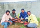 స్నేహం ఒక మహా వృక్షం