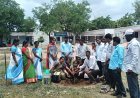 మొక్కల పెంపకంతో పర్యావరణ పరిరక్షణ. 
