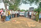 ప్రతి ఒక్కరూ మొక్కలు నాటాలి
