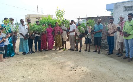 ప్రతి ఒక్కరూ మొక్కలు నాటాలి సర్పంచ్ ప్రేమ్ ప్రసాద్