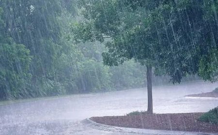 తెలంగాణలో మరో ఐదు రోజుల పాటు మోస్తరు వర్షాలు