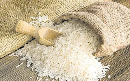 నేటి నుంచి మూడు నెలల రేషన్‌ బియ్యం పంపిణీ