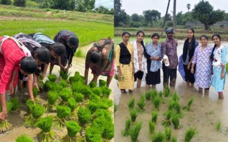 పీఎస్బీ వినియోగం పై రైతులకు అవగాహన నర్సాపూర్
