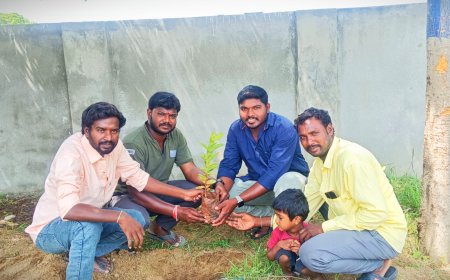 స్నేహం ఒక మహా వృక్షం