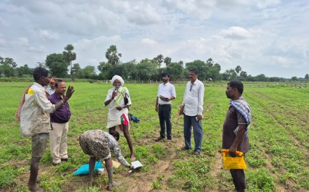 జిల్లా కలెక్టర్ ఆదేశాలతో దిగివచ్చిన అధికార యంత్రాంగం