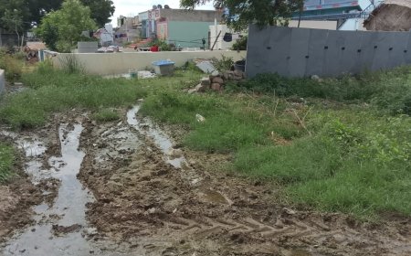 తప్పెట్ల మోరుసు గ్రామంలో ఇంటికి దారి సరిగ్గా లేక ఇబ్బంది పడుతున్న దివ్యాంగుడు