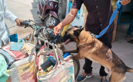 జిల్లా కేంద్రంలో పోలీసు విస్తృత తనిఖీలు.