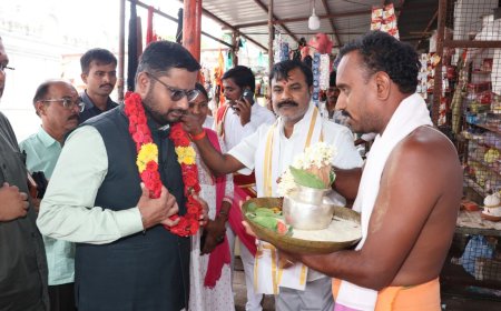 బీచుపల్లి ఆంజనేయ స్వామి దేవస్థానాన్ని సందర్శించిన కలెక్టర్ 