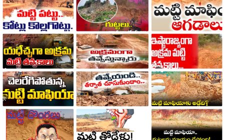 పెన్నులపైనే మన్నుకప్పితే గన్ను లై పేలక తప్పదు