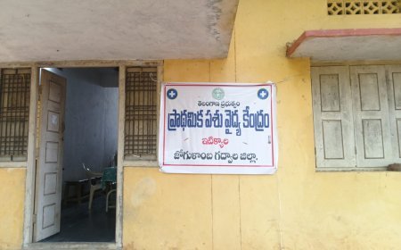 ఇటిక్యాల ఎమ్మార్వో ఆఫీస్ ప్రక్కన ప్రాథమిక పశు వైద్య కేంద్రం ఏర్పాటు
