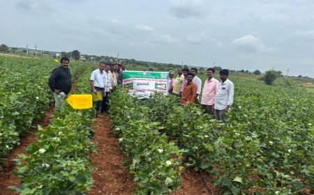 సమగ్ర సస్యరక్షణ పై రైతులకు అవగాహన