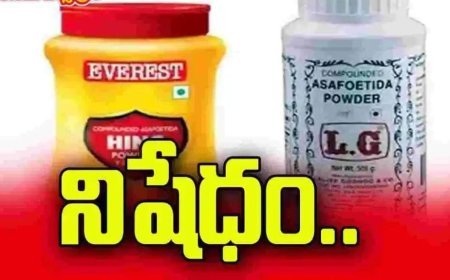 ఎవరెస్ట్‌, ఎల్‌జీ ఇంగువపై నిషేధం 