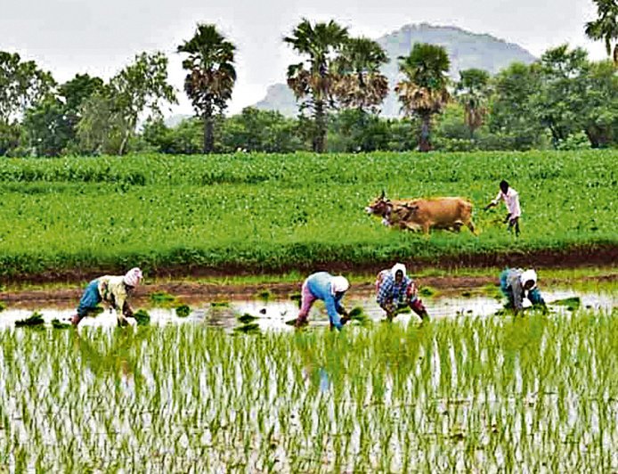 వరుణుడి కరుణతో సంతోషంలో మునిగిన రైతన్నలు