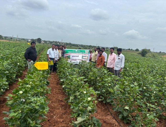 సమగ్ర సస్యరక్షణ పై రైతులకు అవగాహన