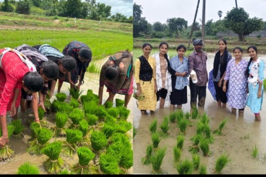 పీఎస్బీ వినియోగం పై రైతులకు అవగాహన నర్సాపూర్