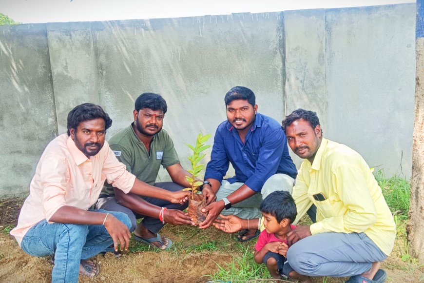 స్నేహం ఒక మహా వృక్షం