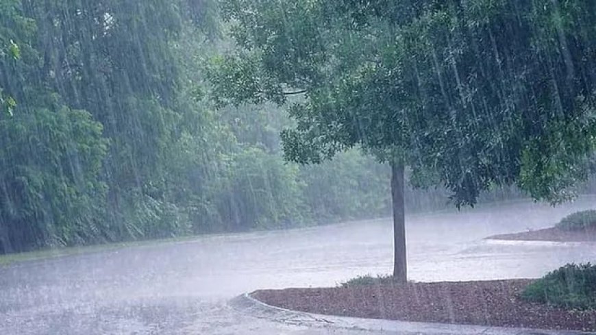 తెలంగాణలో మరో ఐదు రోజుల పాటు మోస్తరు వర్షాలు