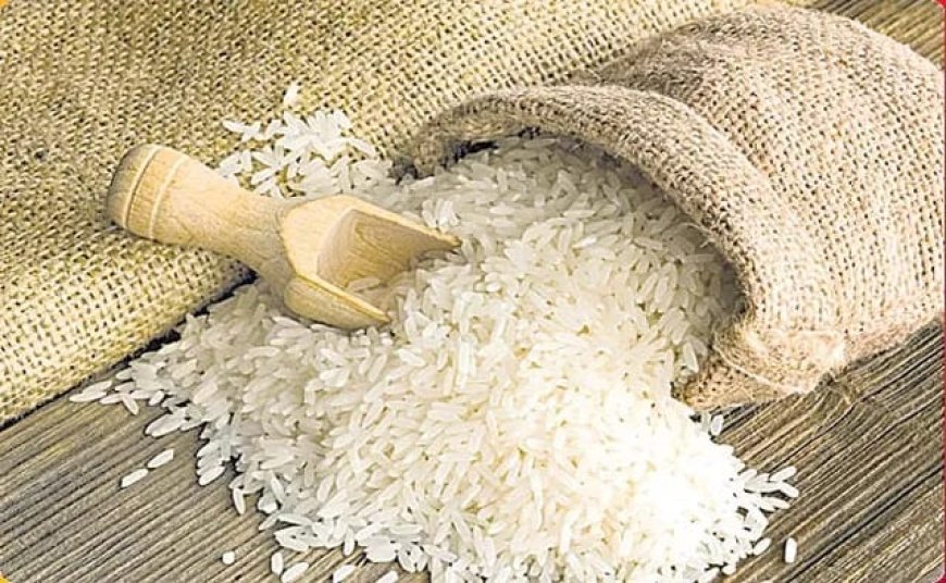 నేటి నుంచి మూడు నెలల రేషన్‌ బియ్యం పంపిణీ