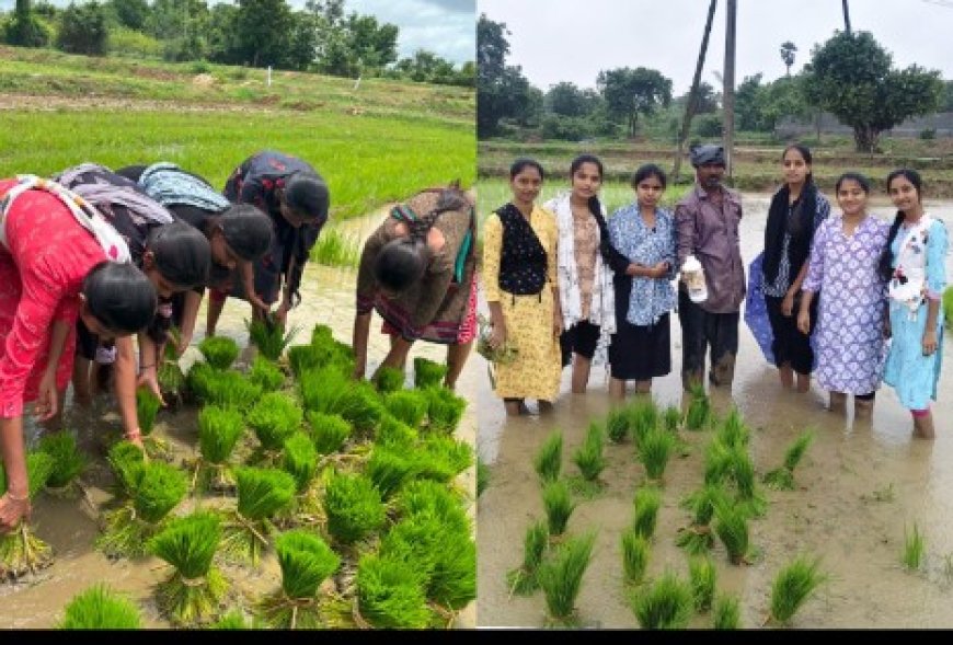 పీఎస్బీ వినియోగం పై రైతులకు అవగాహన నర్సాపూర్