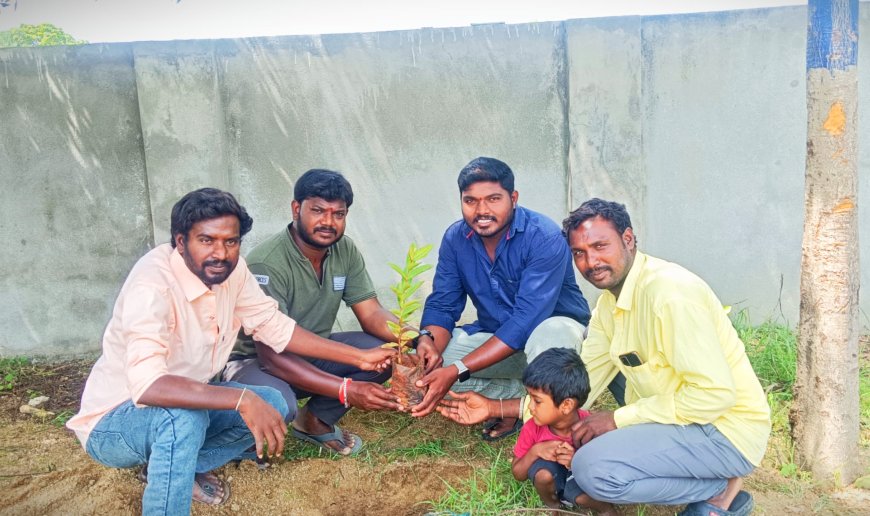 స్నేహం ఒక మహా వృక్షం