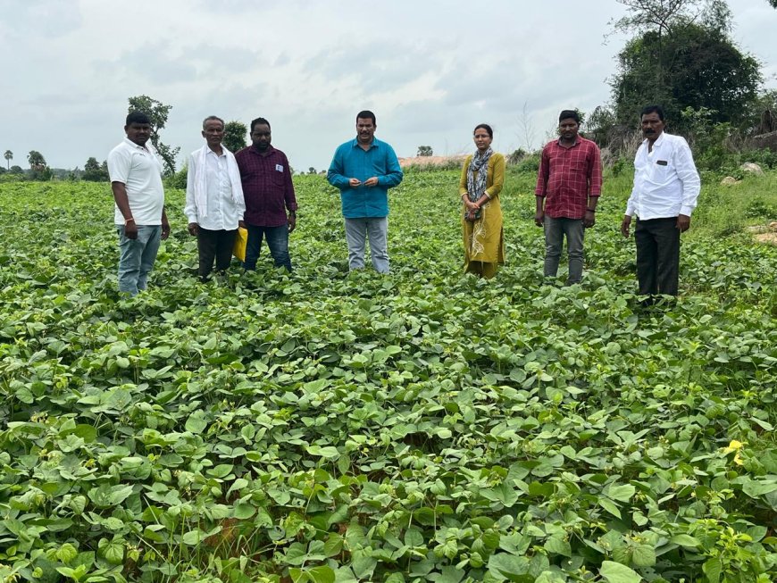 ఆరుతడి పంటలు వెయ్యాలి ఏవో నాగేశ్వరరావు