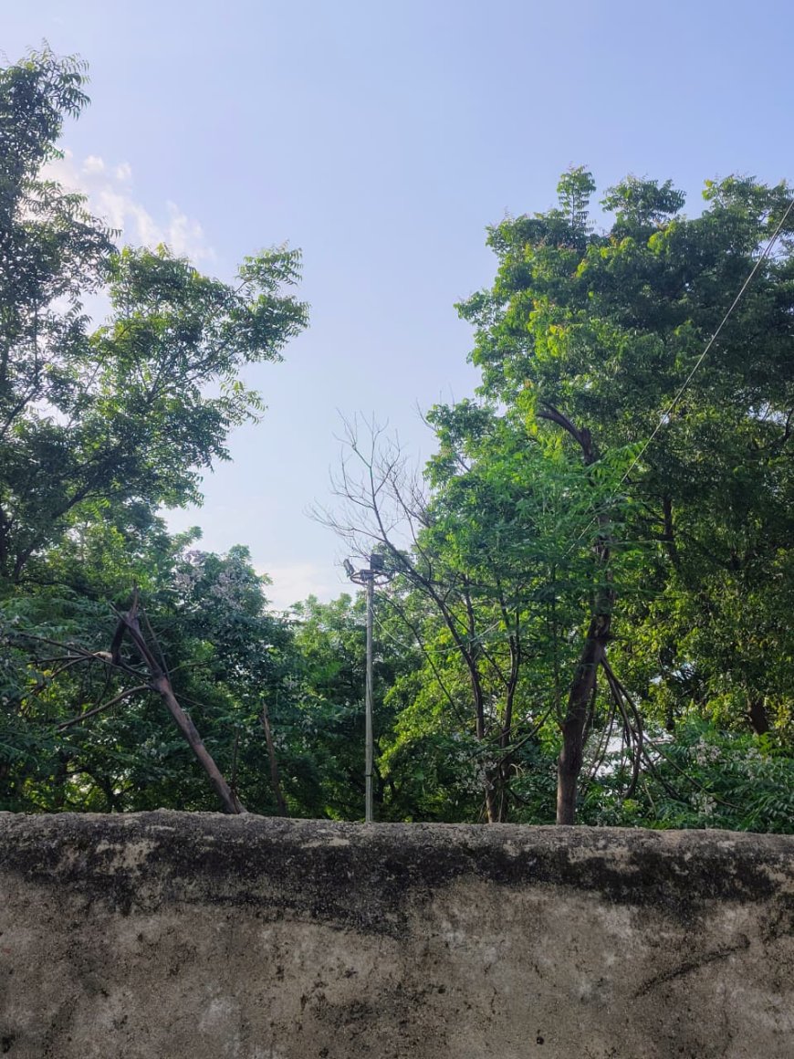 కోరుట్ల ఉమర్ మస్జిద్ ఖబ్రిస్తాన్ లో  హైమాస్ లైట్స్ పనిచేయడం లేదు 