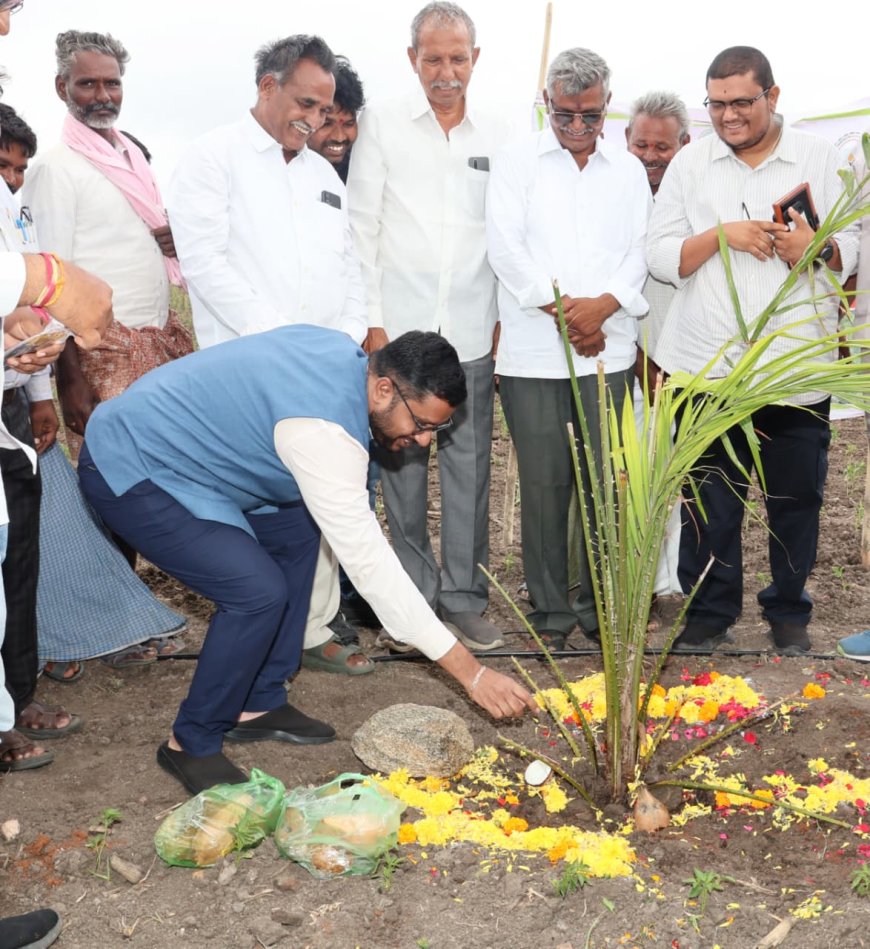 కూరగాయలను సాగు చేసేలా రైతులను ప్రోత్సహించాలి 