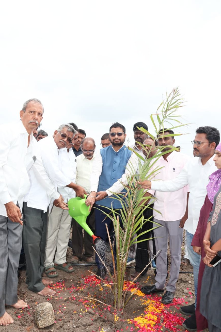 కూరగాయలను సాగు చేసేలా రైతులను ప్రోత్సహించాలి 