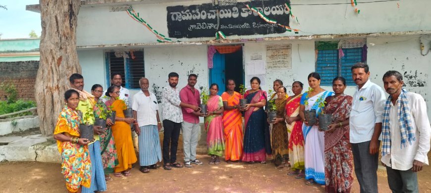పచ్చని చెట్లతో పరిశుభ్రమైన గ్రామంగా తీర్చిదిద్దడమే నా లక్ష్యం