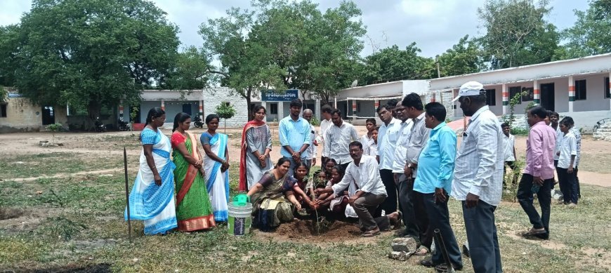 మొక్కల పెంపకంతో పర్యావరణ పరిరక్షణ. 