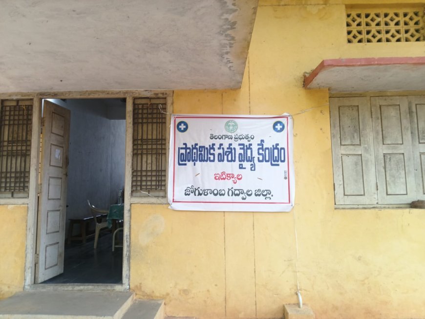 ఇటిక్యాల ఎమ్మార్వో ఆఫీస్ ప్రక్కన ప్రాథమిక పశు వైద్య కేంద్రం ఏర్పాటు