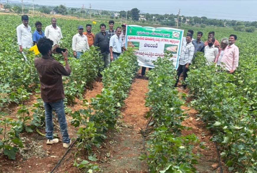 సమగ్ర సస్యరక్షణ పై రైతులకు అవగాహన